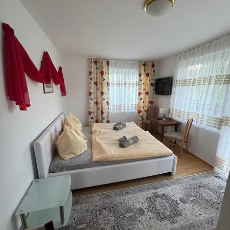 Guesthouse-mother Penzion